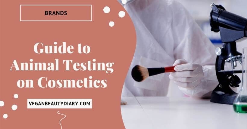 Animal Testing On Cosmetics What You Need To Know